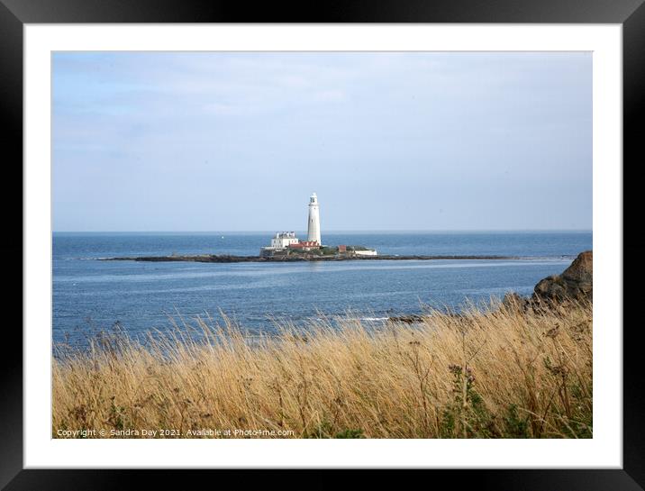 St Mary's Lighthouse Framed Mounted Print by Sandra Day