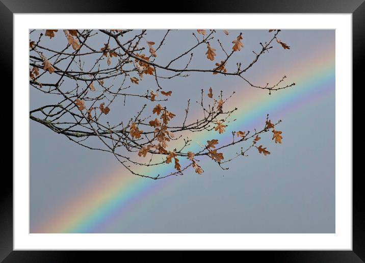 Autumnal Rainbow Framed Mounted Print by Glen Allen