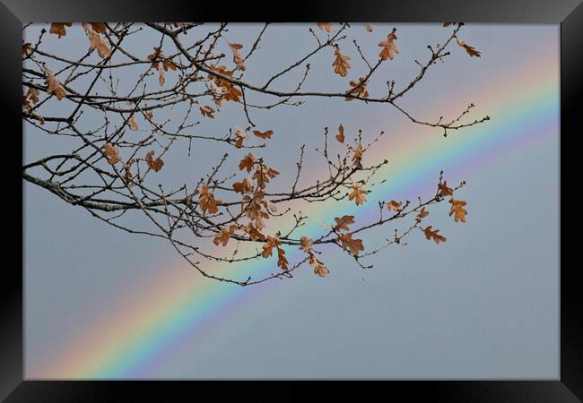 Autumnal Rainbow Framed Print by Glen Allen
