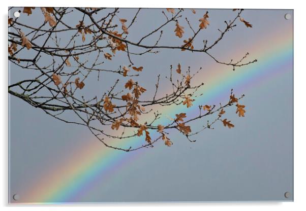 Autumnal Rainbow Acrylic by Glen Allen