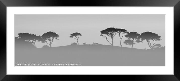Horses on the Hill BW Cornwall Framed Mounted Print by Sandra Day