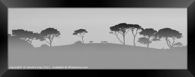 Horses on the Hill BW Cornwall Framed Print by Sandra Day