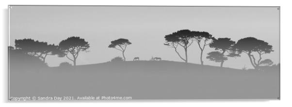 Horses on the Hill BW Cornwall Acrylic by Sandra Day