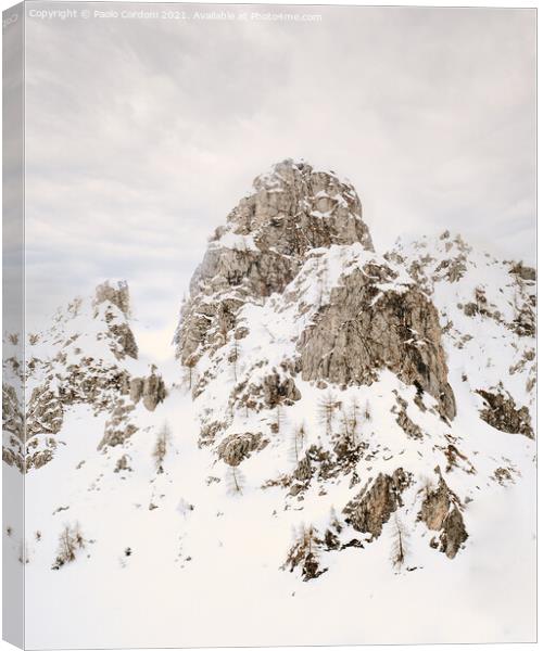 Mountain rocky peak in the snow Canvas Print by Paolo Cordoni