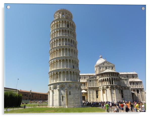 Leaning Tower of Pisa Acrylic by John Bridge