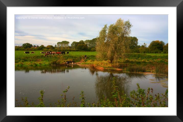 River Stour near Fiddleford Manor, Sturminster New Framed Mounted Print by Derek Daniel