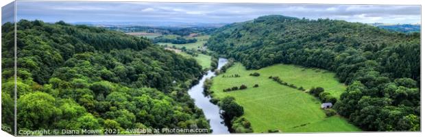 River Wye at Symonds Yat Panoramic Canvas Print by Diana Mower