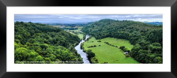 River Wye at Symonds Yat Panoramic Framed Mounted Print by Diana Mower