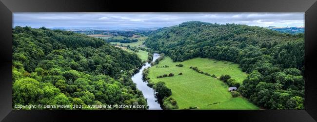 River Wye at Symonds Yat Panoramic Framed Print by Diana Mower