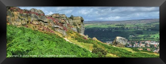 The Cow and Calf Panoramic View Framed Print by Diana Mower