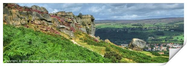 The Cow and Calf Panoramic View Print by Diana Mower