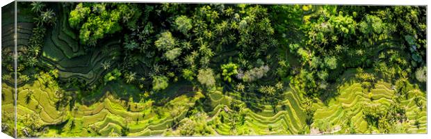 Tegallalang Rice Terrace aerial bali indonesia Canvas Print by Sonny Ryse