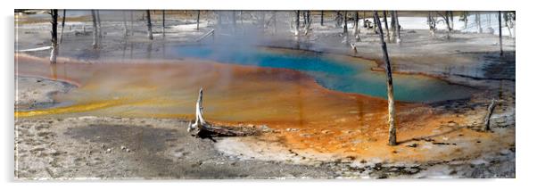 Yellowstone National Park hot spring Acrylic by Sonny Ryse