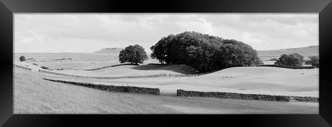 Yorkshire Dales Wensleydale Fields black and white Framed Print by Sonny Ryse
