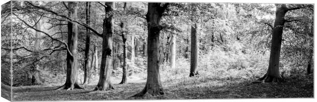 Yorkshire Midderdale Woodland black and white Canvas Print by Sonny Ryse