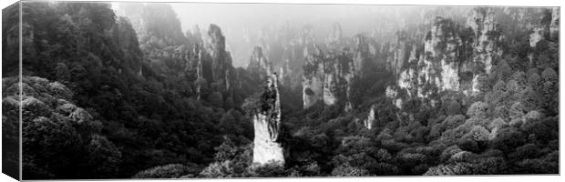 Zhangjiajie National Park Wulingyuan mountains forest Canvas Print by Sonny Ryse