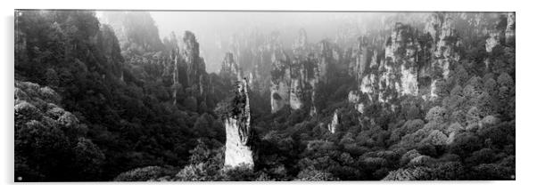 Zhangjiajie National Park Wulingyuan mountains forest Acrylic by Sonny Ryse