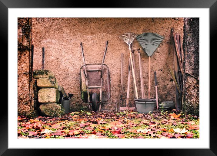 Rustic garden tools against a wall in autumn Framed Mounted Print by Delphimages Art