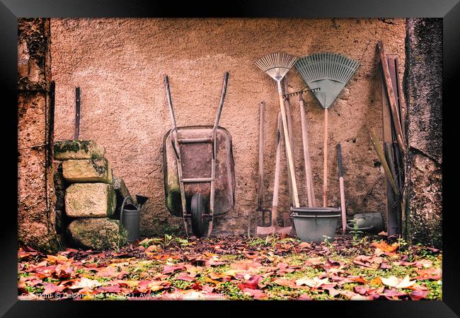 Rustic garden tools against a wall in autumn Framed Print by Delphimages Art