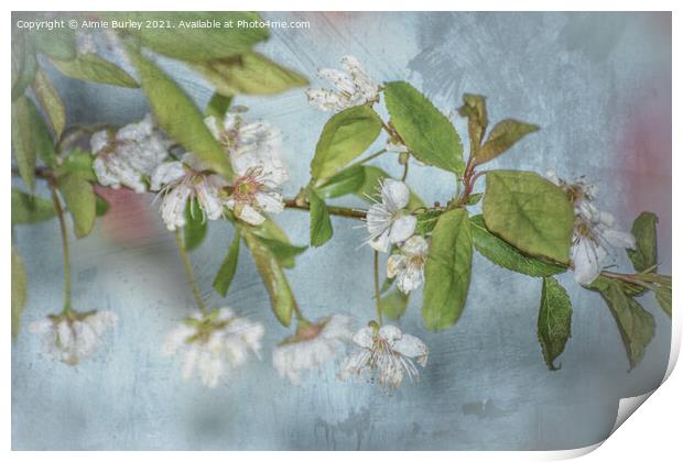 White blossom on blue Print by Aimie Burley