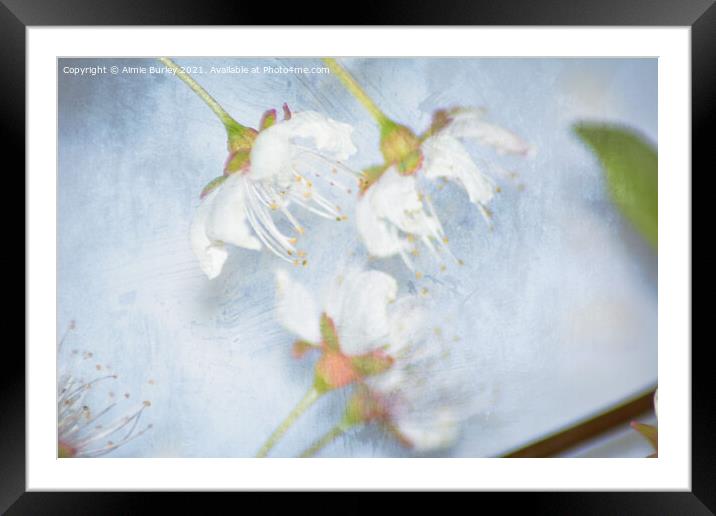 White blossom close up Framed Mounted Print by Aimie Burley