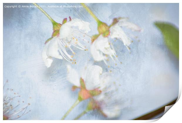 White blossom close up Print by Aimie Burley