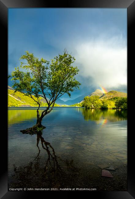 Llyn Padarn lone tree . Framed Print by John Henderson