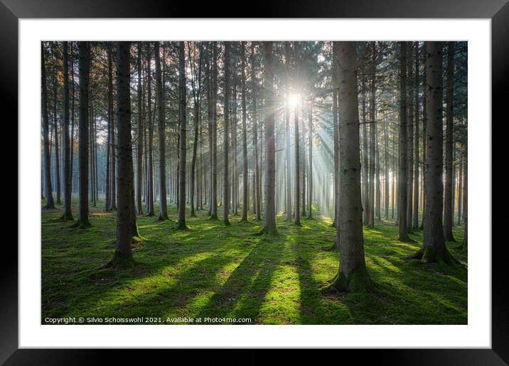 Sunbeams Framed Mounted Print by Silvio Schoisswohl