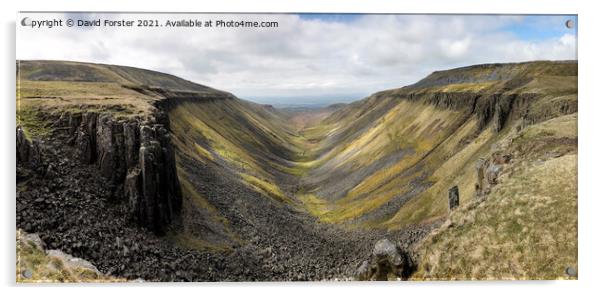 High Cup Gill from High Cup Nick, Cumbria, UK Acrylic by David Forster
