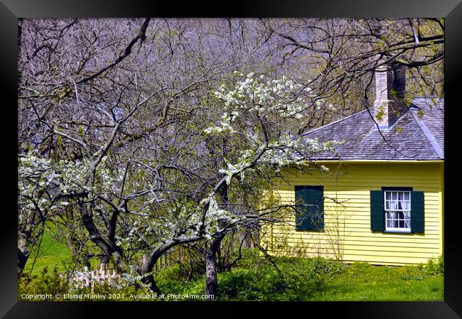 Yellow House in Spring  Framed Print by Elaine Manley