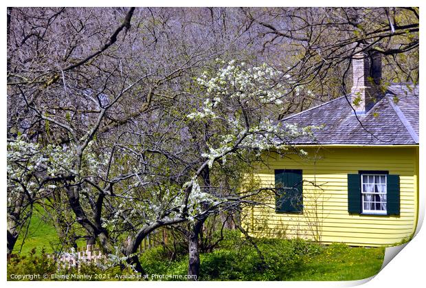 Yellow House in Spring  Print by Elaine Manley