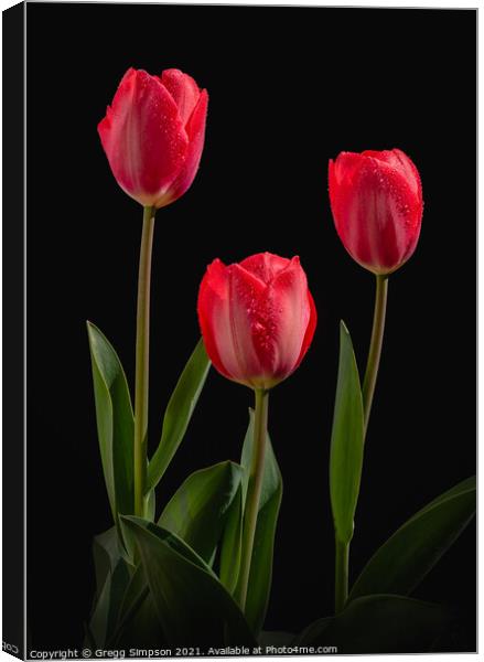Red Tulips Canvas Print by Gregg Simpson
