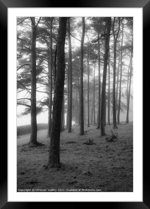 Trees in the mist Framed Mounted Print by christian maltby