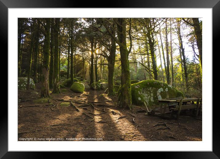 Forest in spring with beautiful bright sun rays. Amazing wood with rocks coverd with moss in sintra mountains, Portugal Framed Mounted Print by nuno valadas