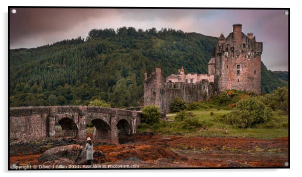 Eilean Donan Castle Acrylic by David J Gillan