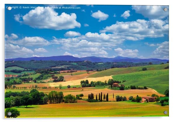 Tuscany Landscape, Italy Acrylic by Navin Mistry