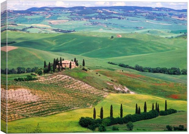 A Farmhouse  and rolling green fields, Val D'Orcia, Tuscany, Italy Canvas Print by Navin Mistry