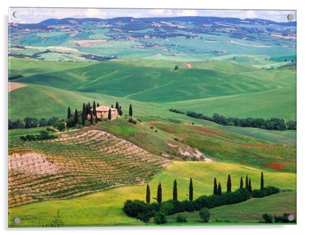 A Farmhouse  and rolling green fields, Val D'Orcia, Tuscany, Italy Acrylic by Navin Mistry