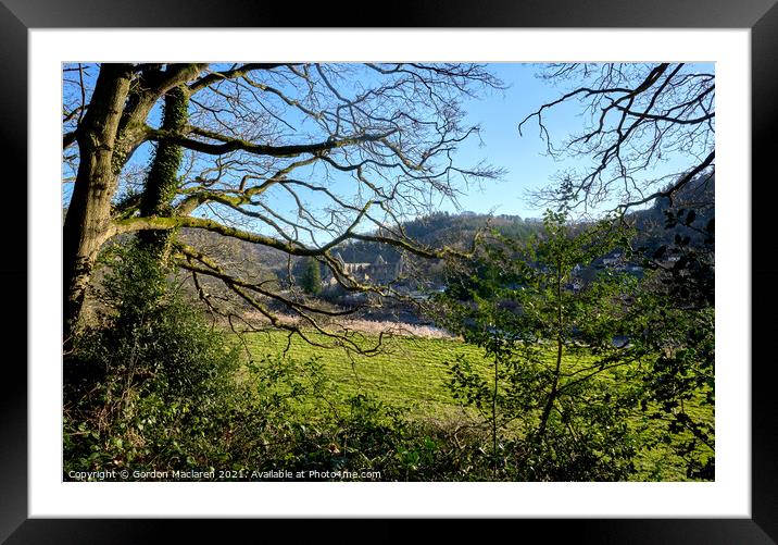 Tintern Abbey Monmouthshire, viewed through the trees Framed Mounted Print by Gordon Maclaren