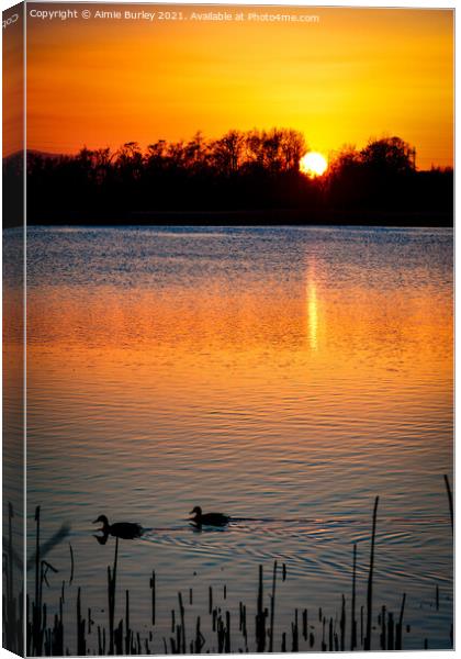 Ducks at sunset Canvas Print by Aimie Burley