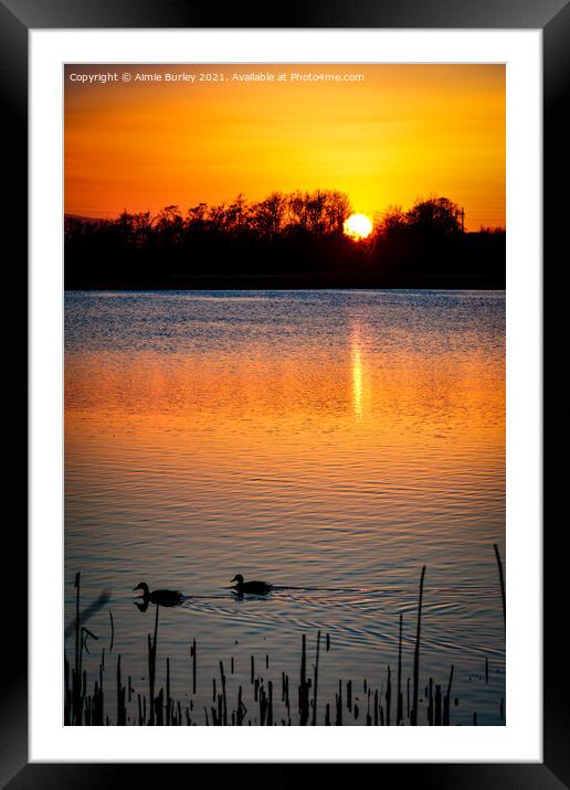 Ducks at sunset Framed Mounted Print by Aimie Burley