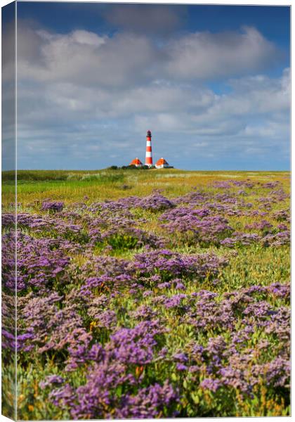 Sea-Lavender and Lighthouse Westerheversand Canvas Print by Arterra 