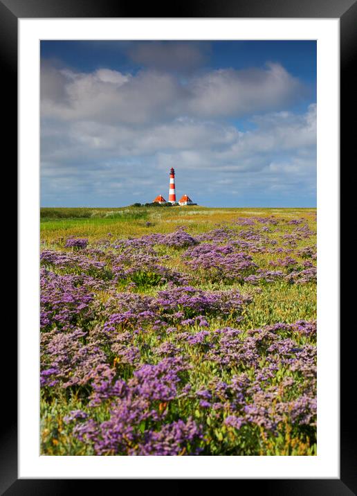 Sea-Lavender and Lighthouse Westerheversand Framed Mounted Print by Arterra 