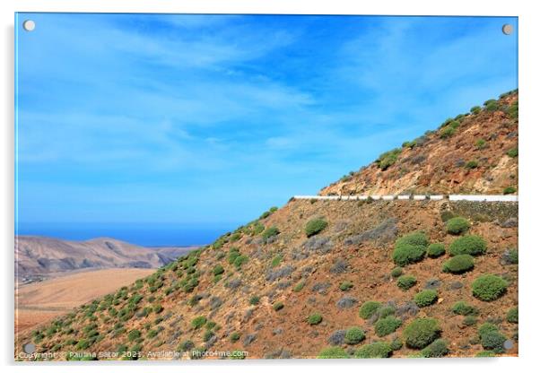 Fuerteventura mountains panorama Acrylic by Paulina Sator
