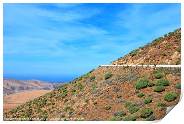 Fuerteventura mountains panorama Print by Paulina Sator
