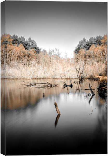 Wood in Water Canvas Print by Mark Jones