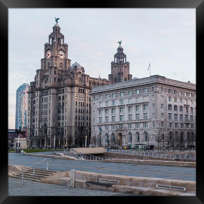 Liver Building and the Cunard Building at dawn Framed Print by Jason Wells