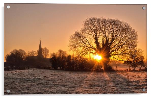 A Winters dawn Acrylic by Steve Cole
