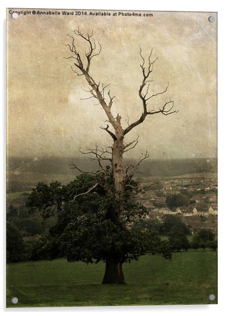 The Skeletal Tree Acrylic by Annabelle Ward