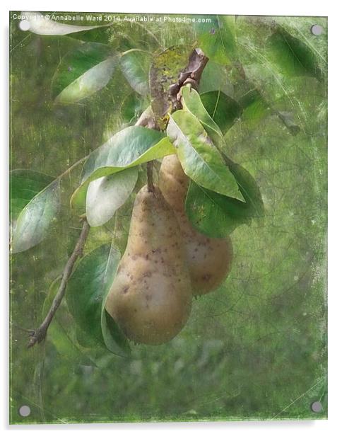 A Pair of Pears Acrylic by Annabelle Ward